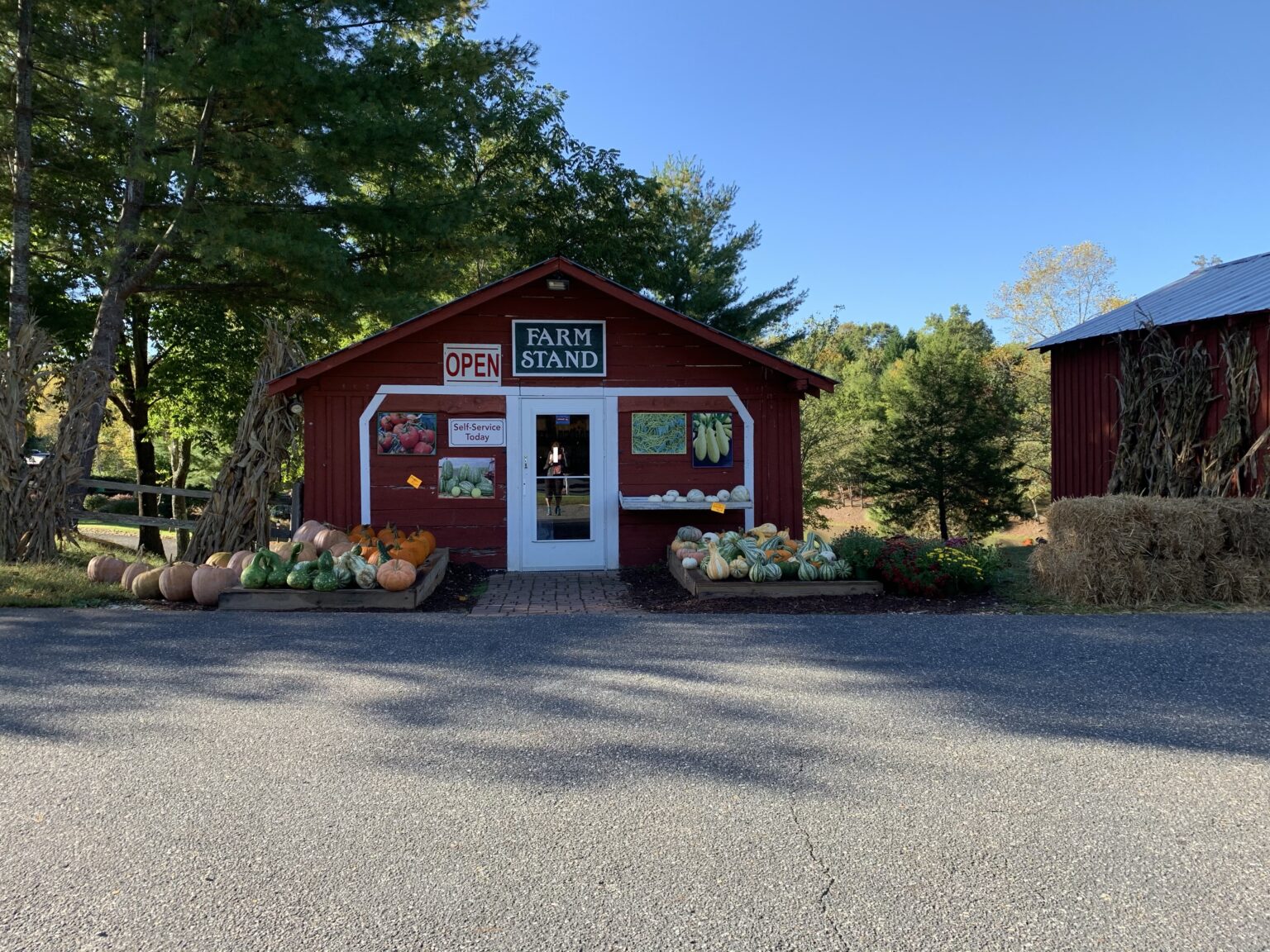 Gallery – Apple Valley Farm